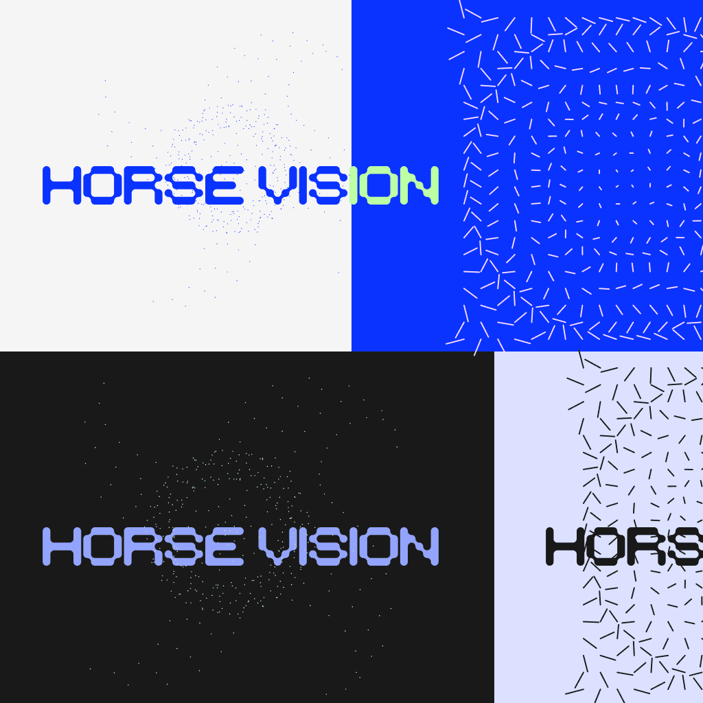 HorseVision 6